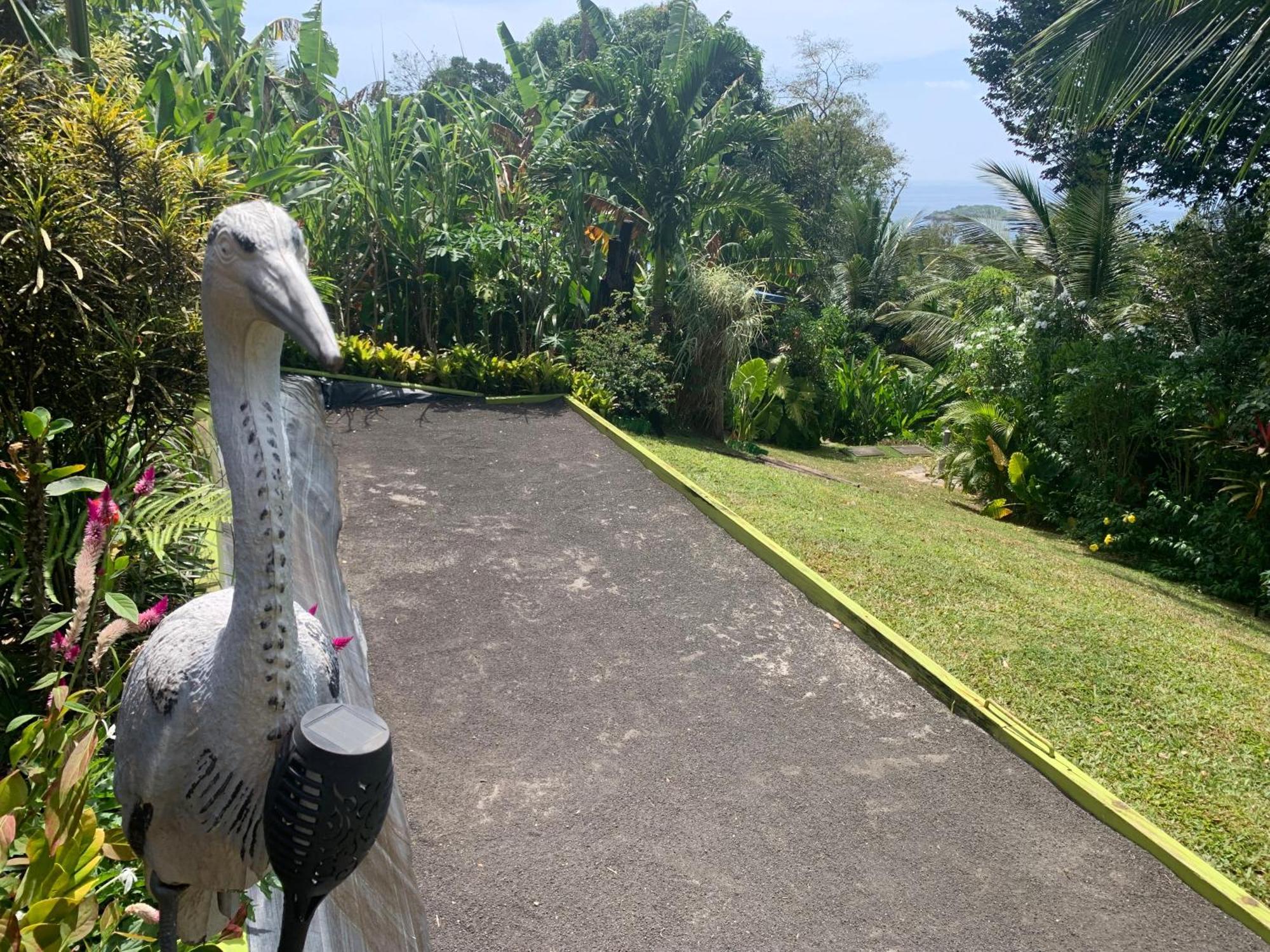 Les Ilets Caraibes Vue Mer Буянт Екстер'єр фото