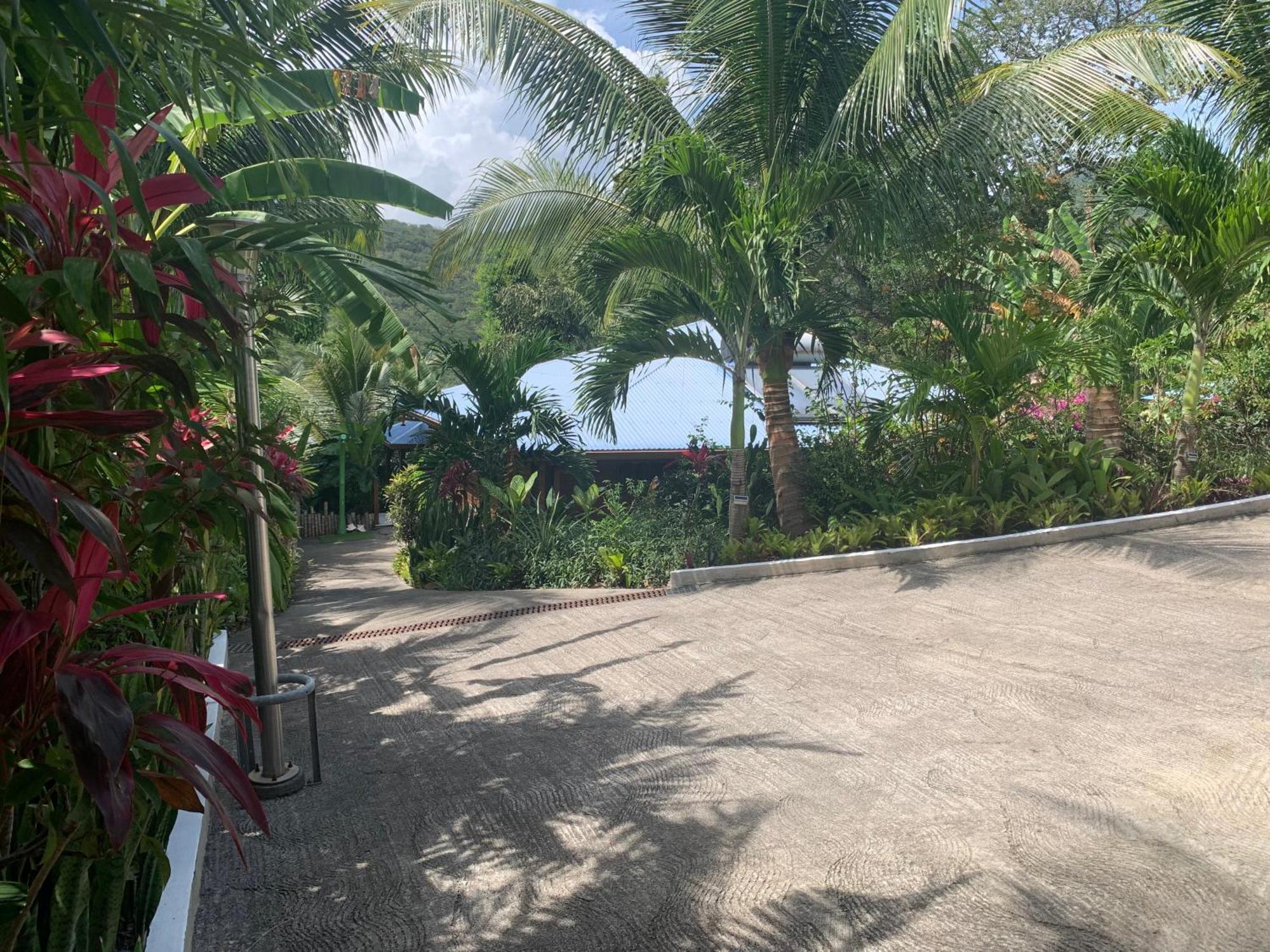 Les Ilets Caraibes Vue Mer Буянт Екстер'єр фото