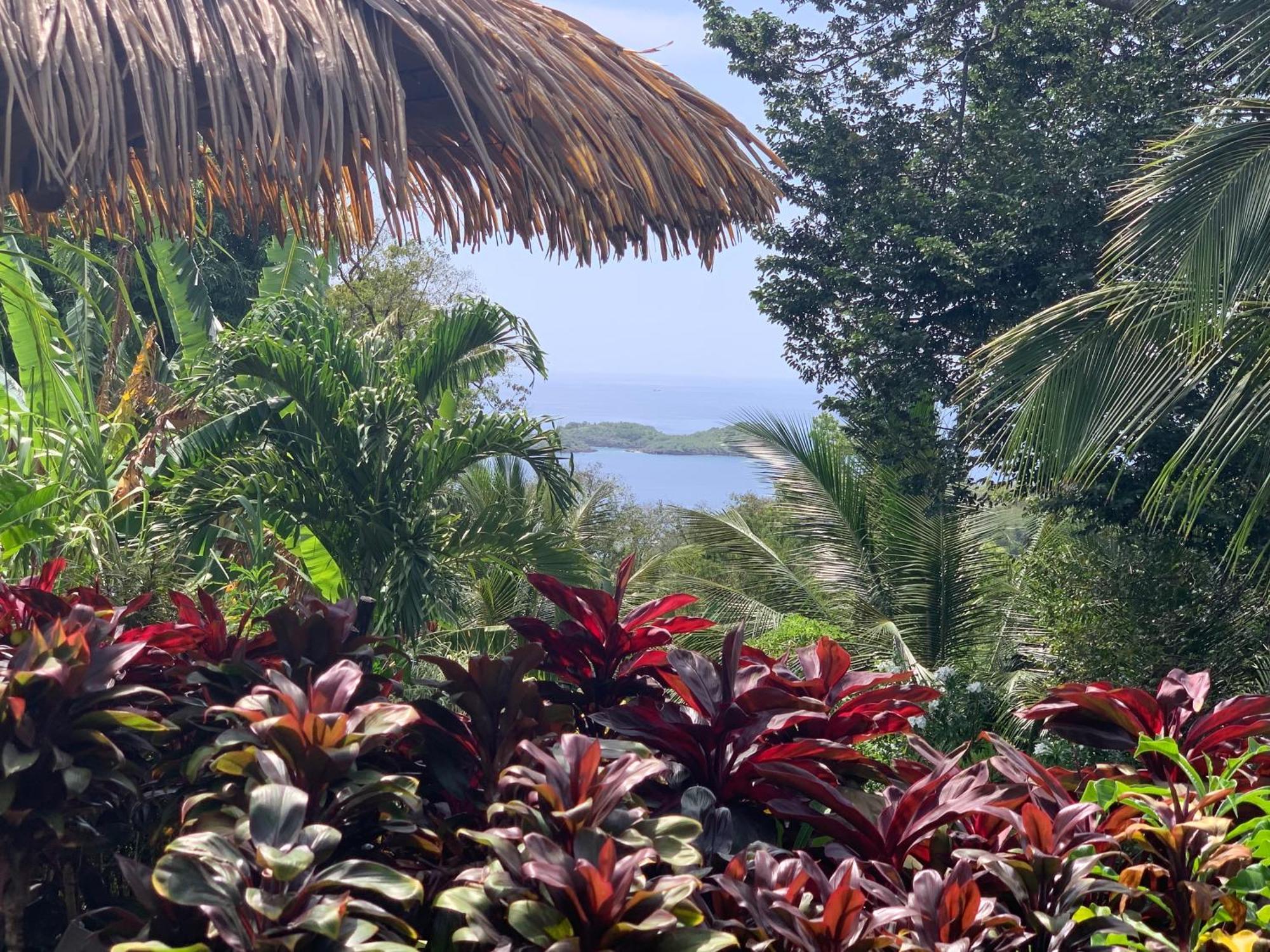 Les Ilets Caraibes Vue Mer Буянт Екстер'єр фото